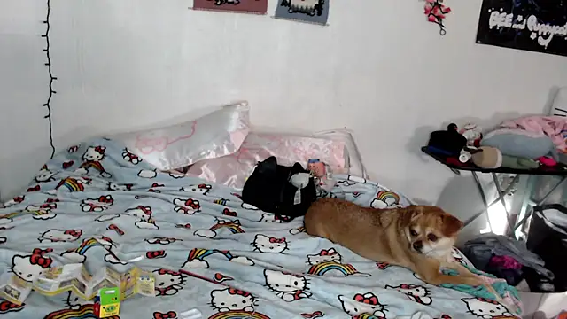 Cupcakecutie449 online show from March 2026 07:43:02 PM