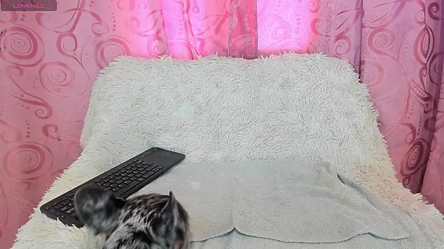 iisabella gonzalez online show from September 2025 08:08:01 PM