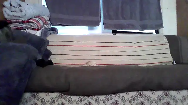 Snapshot of deepstroker42071 chatting on March 2026 09:31:01 PM deepstroker42071 online show from March 2026 09:31:01 PM