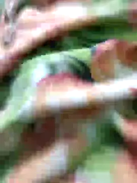 Snapshot of SILENT_FUCKER_01 chatting on December 2024 02:11:02 PM SILENT FUCKER 01 online show from December 2024 02:11:02 PM