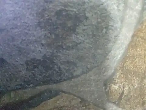 Bi curious86 online show from May 2026 08:12:02 AM