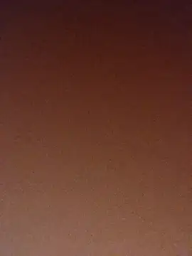 pinaxpack1 online show from November 2025 04:03:01 AM