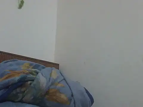 shekira99 online show from April 2026 12:57:02 AM