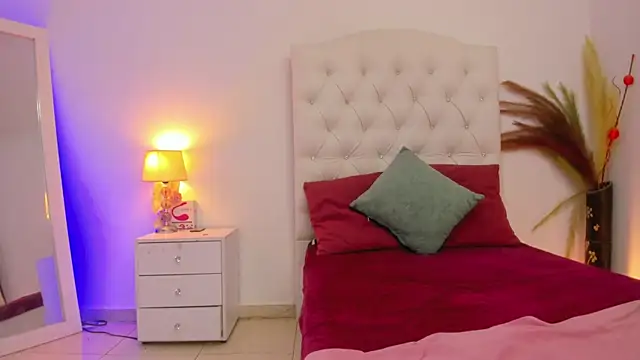 Snapshot of missionix chatting on November 2025 12:13:01 AM missionix online show from November 2025 12:13:01 AM