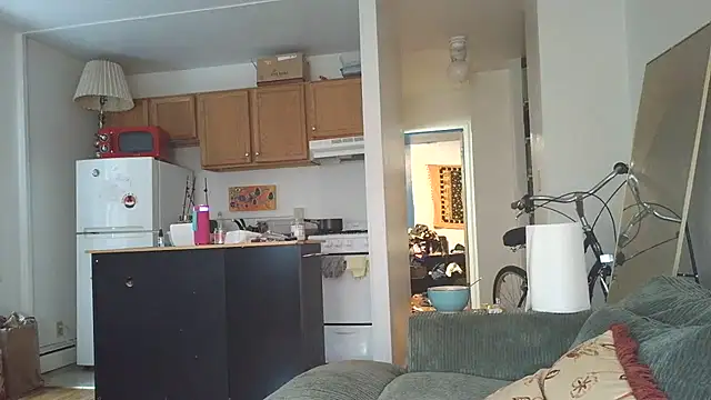 Snapshot of SiminFox chatting on October 2025 07:48:02 PM SiminFox online show from October 2025 07:48:02 PM