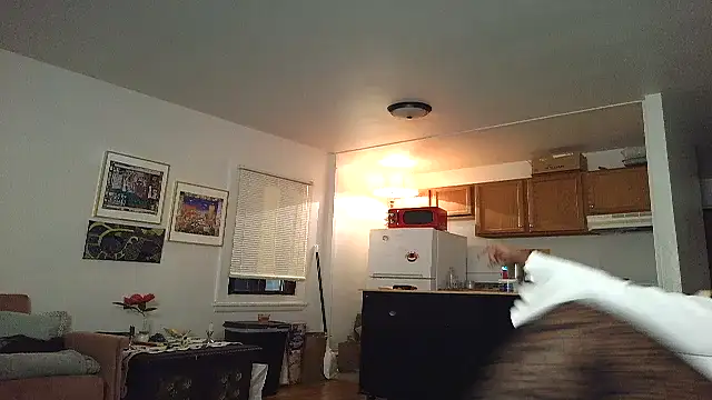 Snapshot of SiminFox chatting on November 2025 04:03:02 AM SiminFox online show from November 2025 04:03:02 AM