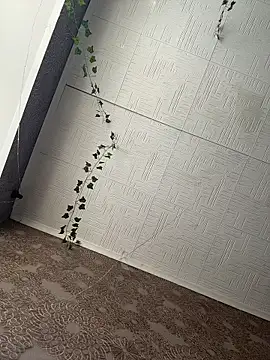 AmmyHot online show from February 2026 05:05:02 AM