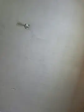 Ricorryxh online show from December 2024 05:29:02 AM