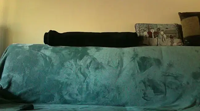 Snapshot of spicylaboi chatting on December 2024 04:03:01 PM spicylaboi online show from December 2024 04:03:01 PM