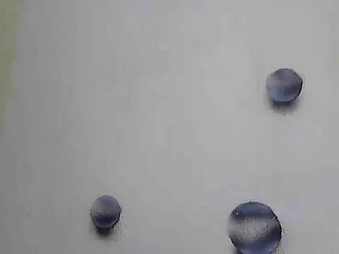 Jillian Pattie online show from February 2025 05:05:02 PM