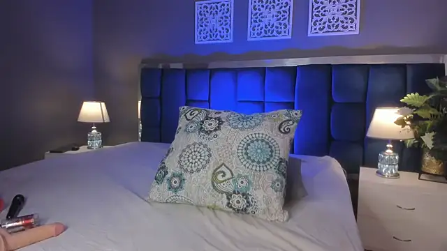 Snapshot of thecrazyadamss_ chatting on January 2025 05:48:01 PM thecrazyadamss online show from January 2025 05:48:01 PM