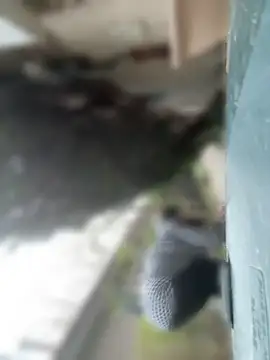 asianmama888 online show from May 2026 12:06:02 AM