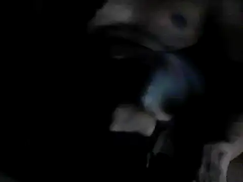 Snapshot of GRATEFUL16 chatting on February 2025 07:40:02 PM GRATEFUL16 online show from February 2025 07:40:02 PM