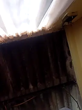 Snapshot of dantero chatting on February 2025 03:48:02 PM dantero online show from February 2025 03:48:02 PM