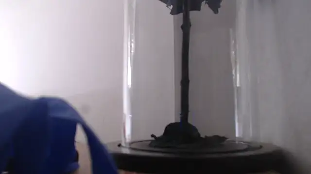 Snapshot of Janna099 chatting on September 2025 05:58:01 PM Janna099 online show from September 2025 05:58:01 PM