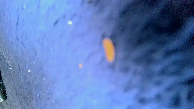 Snapshot of bigcocktat2dude603 chatting on December 2024 05:33:02 PM bigcocktat2dude603 online show from December 2024 05:33:02 PM