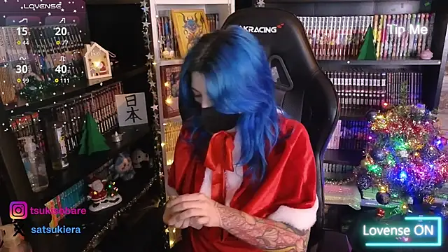 Snapshot of _Satsuki_ chatting on December 2025 04:15:01 PM Satsuki online show from December 2025 04:15:01 PM