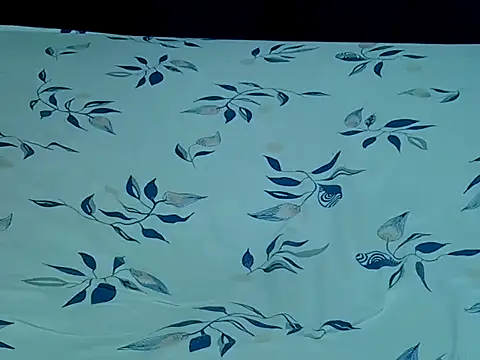 HoneyBun143 online show from April 2026 08:02:01 PM