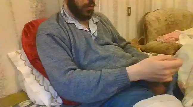 tozebrito hd online show from December 2024 05:11:02 AM