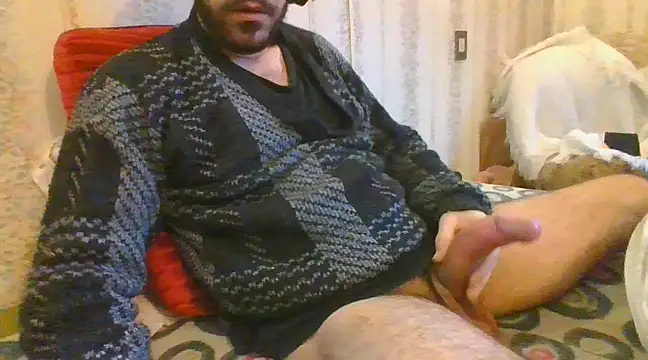 tozebrito hd online show from February 2025 05:29:01 PM