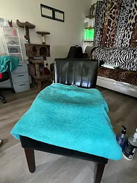 fatfabulous1981 online show from February 2025 12:19:02 AM