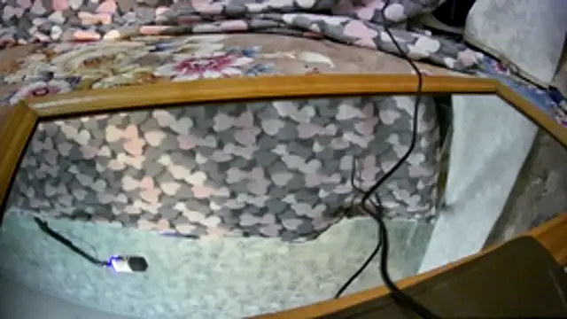 Kai and you online show from November 2025 12:21:02 AM