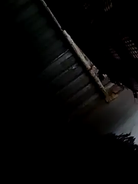 Snapshot of Moreno1813 chatting on February 2025 08:33:02 AM Moreno1813 online show from February 2025 08:33:02 AM