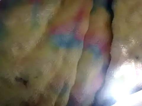 Snapshot of Moreno1813 chatting on March 2025 02:55:02 PM Moreno1813 online show from March 2025 02:55:02 PM