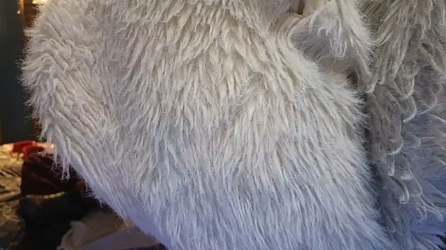 PropertyAndBiker online show from December 2024 02:24:01 AM