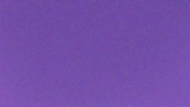 milkoffe online show from December 2024 01:15:02 AM