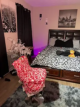 nosleepforlink online show from December 2024 12:41:01 AM