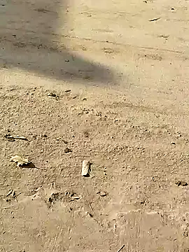 Monster Bigdick online show from December 2024 03:32:01 AM