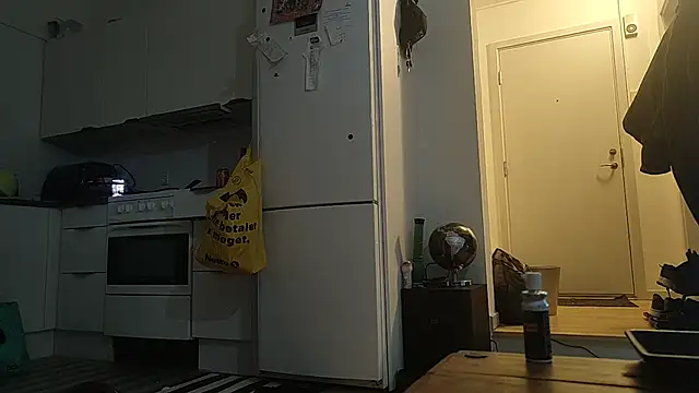 Snapshot of eltoulou chatting on January 2025 04:52:02 AM eltoulou online show from January 2025 04:52:02 AM