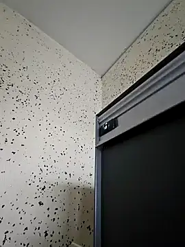 Snapshot of eltoulou chatting on January 2025 01:06:02 PM eltoulou online show from January 2025 01:06:02 PM