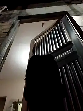 fieltoprj1 online show from December 2024 11:39:01 PM