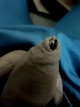 Ashish02345 online show from January 2025 08:58:01 PM