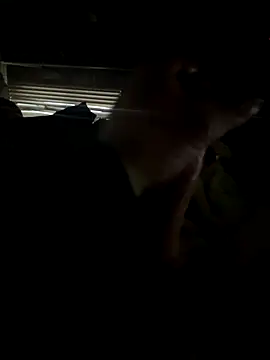 dickemdowncharleybrown online show from December 2025 03:51:02 PM