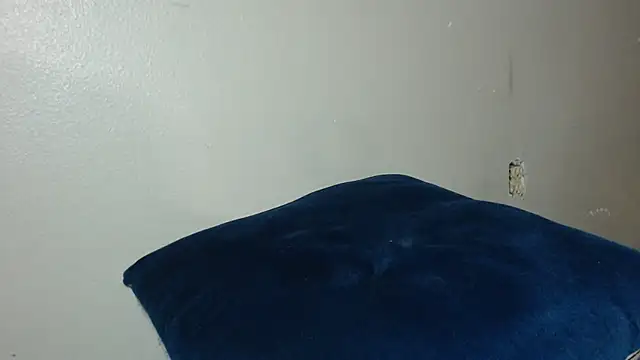 Dogz n daugthers online show from December 2024 08:17:02 AM