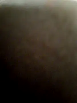 Snapshot of Exhibitionist1508 chatting on November 2025 04:23:02 AM Exhibitionist1508 online show from November 2025 04:23:02 AM