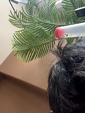 IroManager online show from September 2025 02:13:02 AM