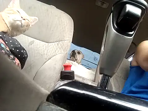 SexyB214 online show from April 2026 04:26:01 PM