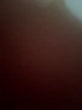 Gvngdvbbs online show from March 2026 04:03:01 AM