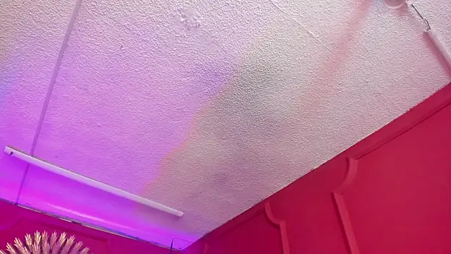 Red lady online show from March 2026 03:56:01 AM