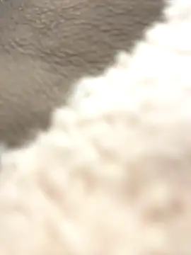 Snapshot of NewLale chatting on October 2025 03:38:02 AM NewLale online show from October 2025 03:38:02 AM