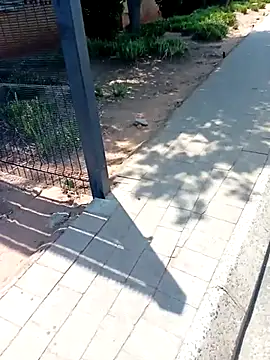 Snapshot of KinkyYours chatting on October 2025 10:24:01 AM KinkyYours online show from October 2025 10:24:01 AM