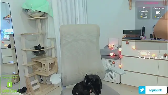 Snapshot of littlemiilk chatting on January 2026 08:08:01 AM littlemiilk online show from January 2026 08:08:01 AM