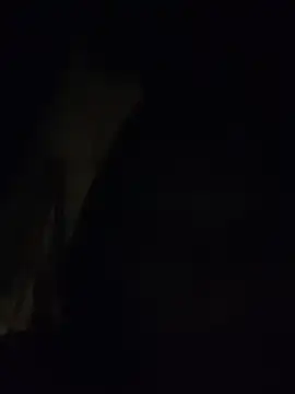 Boysex227 online show from November 2025 06:06:02 PM