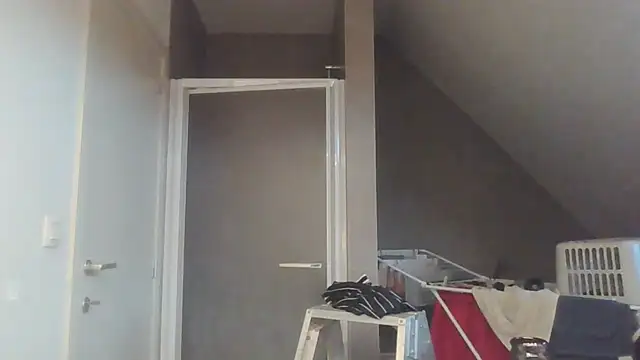 Vekie 007 online show from July 2026 04:08:01 AM