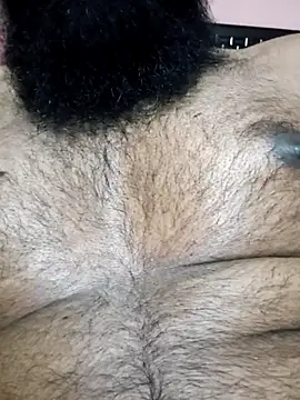 0606HARRY online show from April 2026 01:37:02 PM