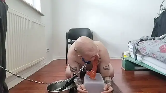 gaywolf426 online show from April 2026 07:25:02 AM